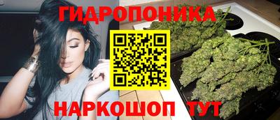 apvp Сланцы