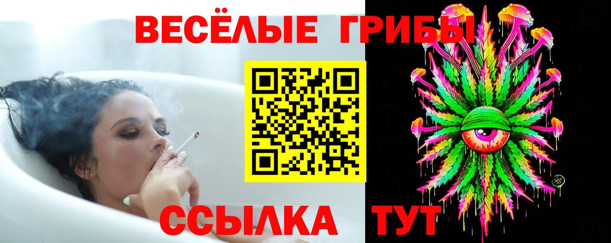 Новокубанск  Псилоцибиновые грибы Psilocybine cubensis  Галлюциногенные грибы GOLDEN TEACHER  Вход с VPN 