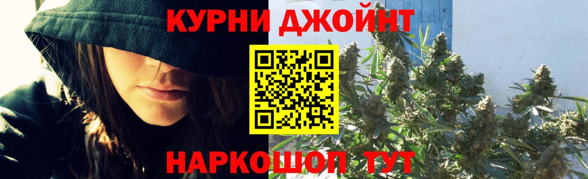 Каннабис OG Kush Новокубанск